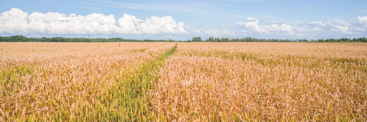 Similar image 22055559