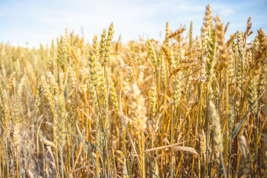 Similar image 22055560