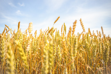 Similar image 22055561