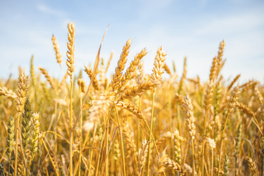 Similar image 22055562