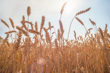 Similar image 22055563