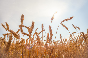 Similar image 22055564