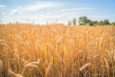 Similar image 22055565