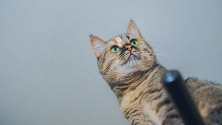 Similar image 22055566