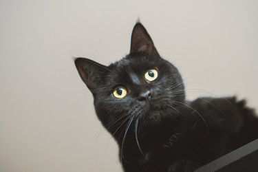 Similar image 22055567