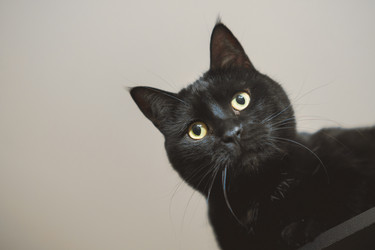 Similar image 22055568