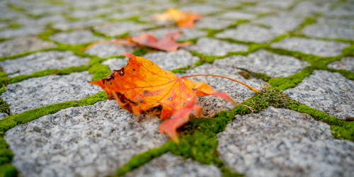 Similar image 22055570