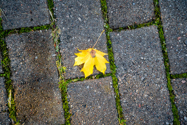 Similar image 22055571