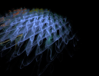 Similar image 22056607