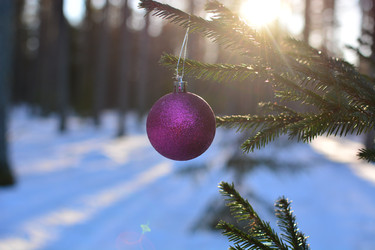 Similar image 22054741