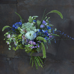 Similar image 22055082