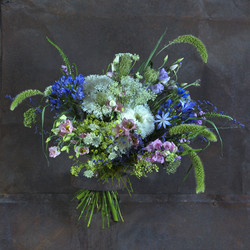 Similar image 22055084