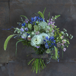 Similar image 22055088