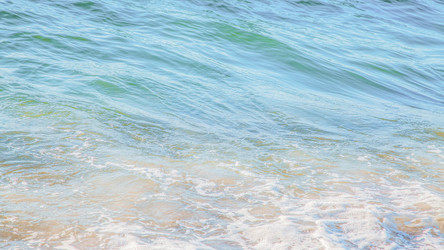 Similar image 22055599