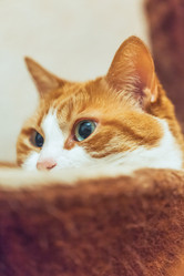 Similar image 22055608