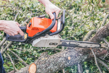 Similar image 22055614