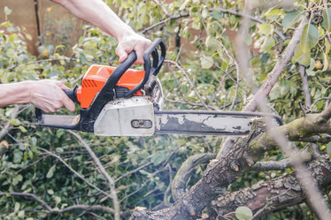 Similar image 22055615