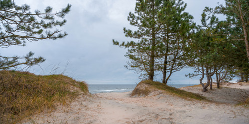 Similar image 22055620