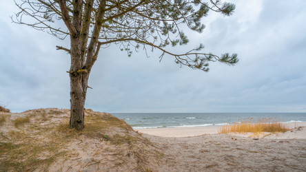 Similar image 22055621