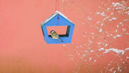 Similar image 22055623