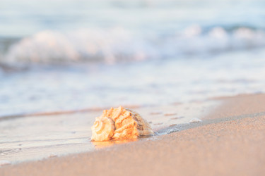 Similar image 22055625