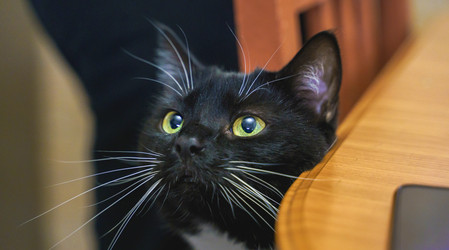 Similar image 22055626