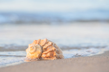 Similar image 22055627