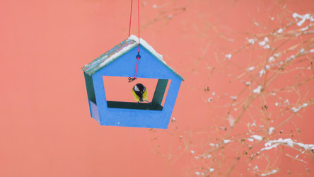 Similar image 22055629