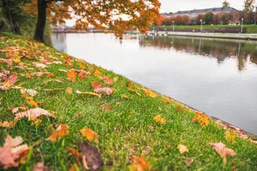 Similar image 22055631