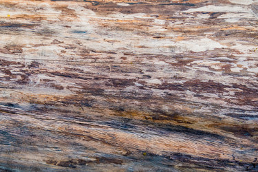 Similar image 22055632