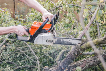 Similar image 22055639