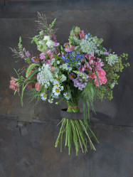 Similar image 22055251