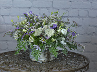 Similar image 22055254