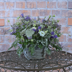 Similar image 22055258