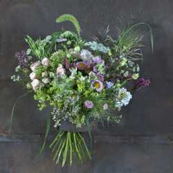 Similar image 22055265