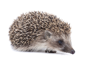 Similar image 22058141