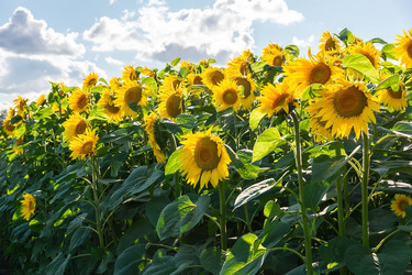 Similar image 22058146