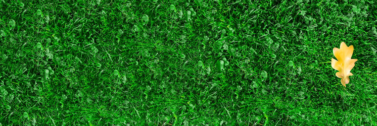 Similar image 22058160