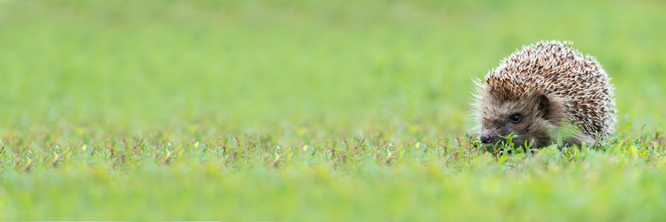 Similar image 22058161