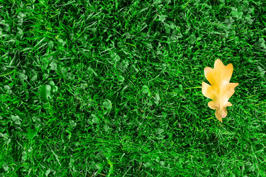 Similar image 22058172