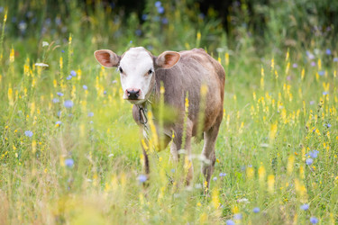 Similar image 22058175