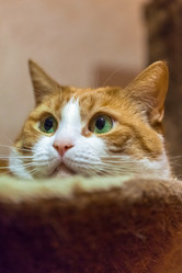 Similar image 22055656