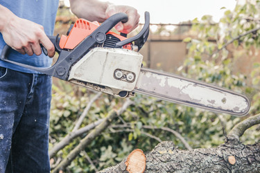 Similar image 22055658