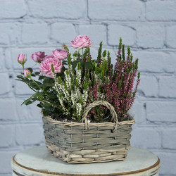 Similar image 22055371