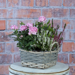 Similar image 22055373