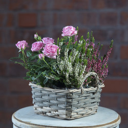 Similar image 22055375