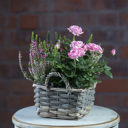 Similar image 22055377