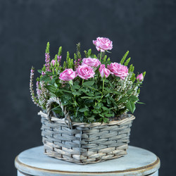 Similar image 22055379