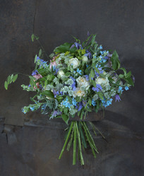 Similar image 22055402