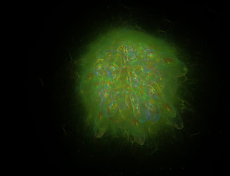 Similar image 22056666